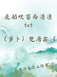 夜船吹笛雨潇潇txt