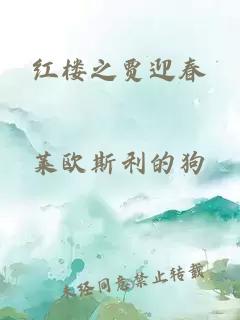 红楼之贾迎春