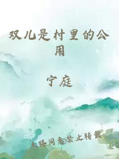 双儿是村里的公用