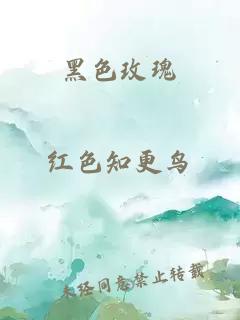 黑色玫瑰