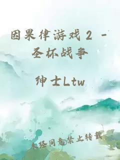 因果律游戏２－圣杯战争