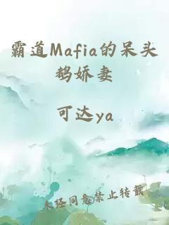 霸道Mafia的呆头鹅娇妻