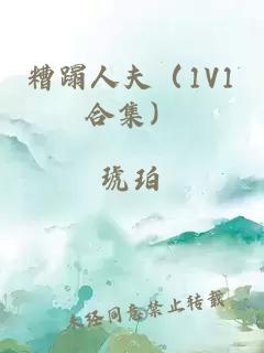 糟蹋人夫（1V1合集）