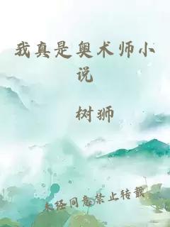 我真是奥术师小说