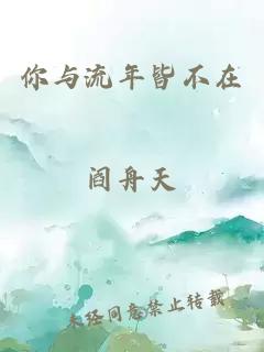 你与流年皆不在