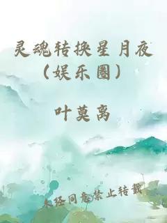 灵魂转换星月夜（娱乐圈）