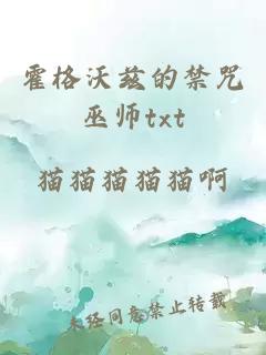 霍格沃兹的禁咒巫师txt