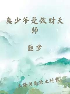 真少爷是敛财天师