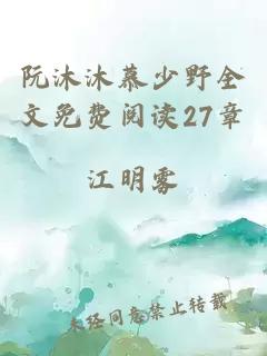 阮沐沐慕少野全文免费阅读27章