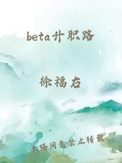 beta升职路