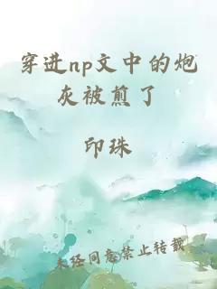 穿进np文中的炮灰被煎了