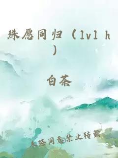 殊愿同归（1v1 h）