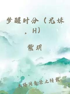 梦醒时分（兄妹，H）