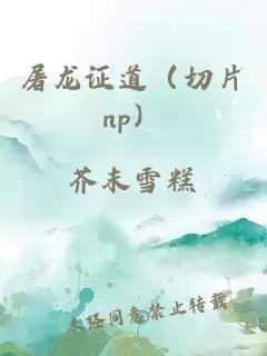 屠龙证道（切片np）