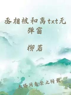 丞相被和离txt无弹窗