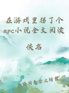 在游戏里拐了个npc小说全文阅读