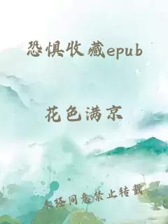 恐惧收藏epub