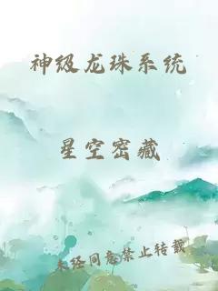 神级龙珠系统