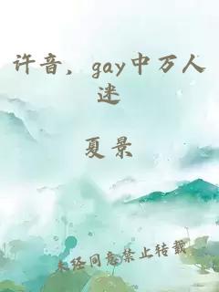 许音，gay中万人迷